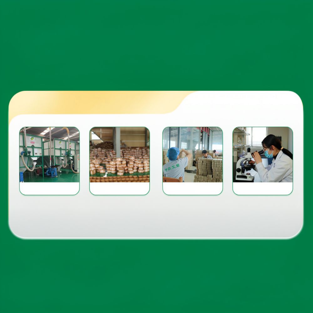 Smokeless Carbonized Moxa Stic - Therapy Health And Wellness ulasan dan harga